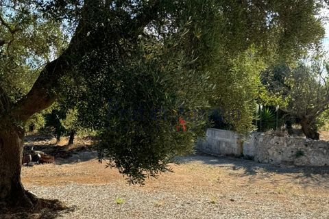 Landejendom i Ostuni, Brindisi, Ostuni - € 70.000 | Ref: 172708 - foto 24